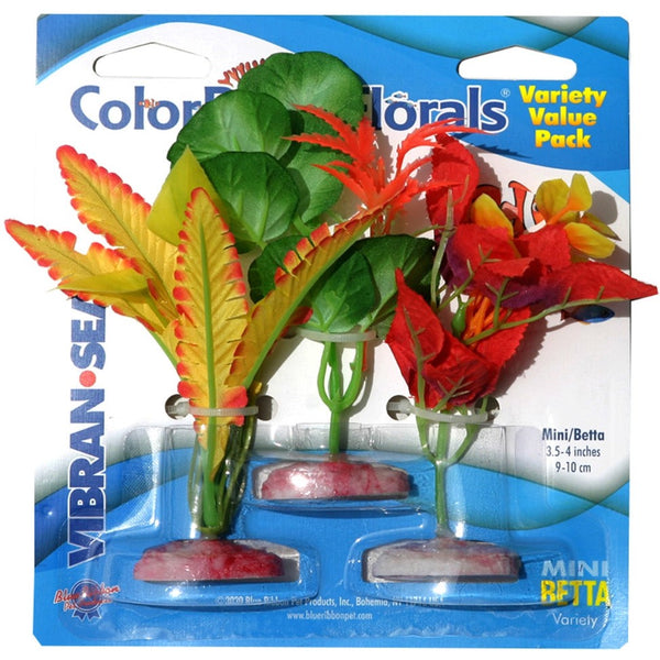 Blue Ribbon Vibran-Sea Color Burst Florals Betta Variety Pack, 3 count