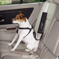 Guardian Gear Ride Right Seat Belt Connector-Dog-Guardian Gear-PetPhenom