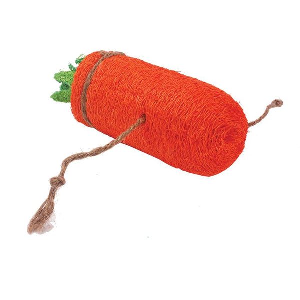 AE Cage Company Nibbles Carrot Loofah Chew Toy Large, 1 count-Small Pet-AE Cage Company-PetPhenom