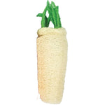 AE Cage Company Nibbles Daikon Loofah Chew Toy Large, 1 count-Small Pet-AE Cage Company-PetPhenom