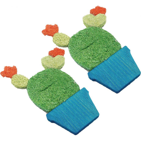 AE Cage Company Nibbles Potted Cactus Loofah Chew Toys, 2 count-Small Pet-AE Cage Company-PetPhenom