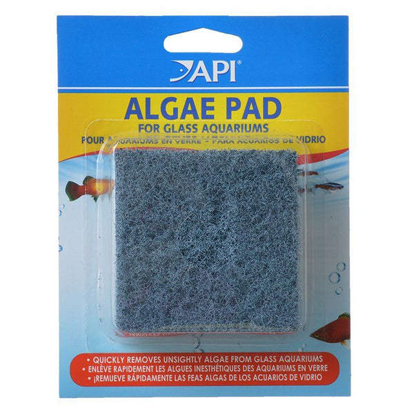 API Doc Wellfish's Hand Held Algae Pad for Glass Aquariums, Algae Pad - Glass-Fish-API-PetPhenom