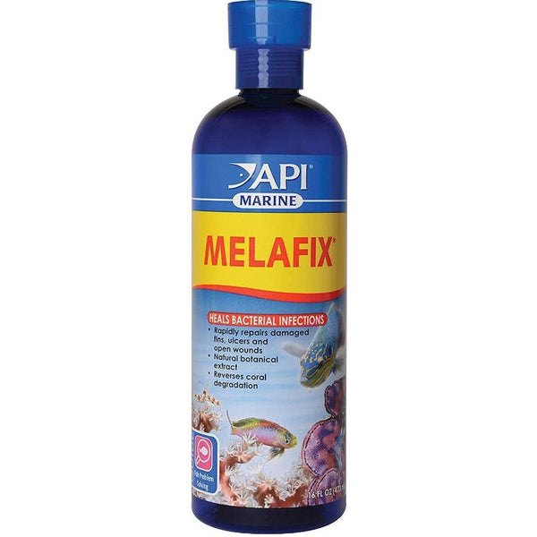 API Marine MelaFix Antibacterial Fish Remedy, 16 oz-Fish-API-PetPhenom