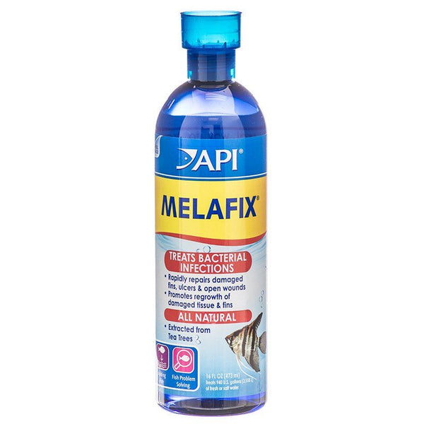 API MelaFix Antibacterial Fish Remedy, 16 oz Bottle (Treats 948 Gallons)-Fish-API-PetPhenom