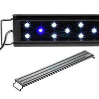 AQUANEAT LED Aquarium Light Blue White 24" to 34" Fish Tank Light Marine FOWLR-Fish-AQUANEAT-PetPhenom