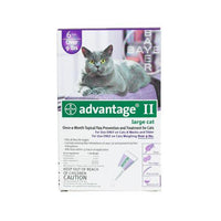 Advantage Flea Control for Cats and Kittens Over 9 lbs 6 Month Supply-Cat-Advantage-PetPhenom