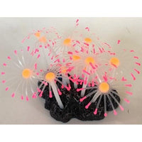 Aquatic Creations Aquarium Decor Star Polyps Pink & Orange, 1 count-Fish-Aquatic Creations-PetPhenom