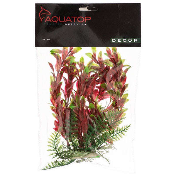 Aquatop Hygro Aquarium Plant - Red & Green, 6" High w/ Weighted Base-Fish-Aquatop-PetPhenom