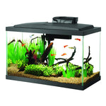 Aqueon 10 Gallon LED Aquarium Kit Black 20.2" x 10.5" x 13.3"-Fish-Aqueon-PetPhenom