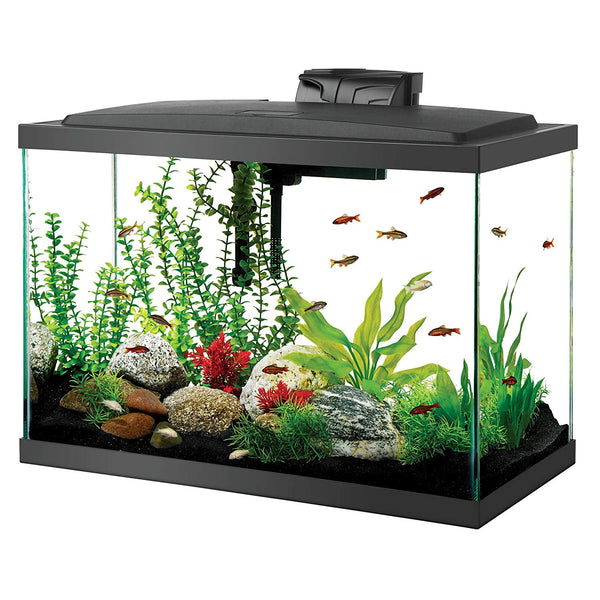 Aqueon 20 Gallon LED Aquarium Kit Black 24.2" x 12.5" x 19.5"-Fish-Aqueon-PetPhenom