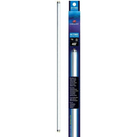 Aqueon Actinic Bluelight T8 Fluorescent Lamp, 48" - 32 watt-Fish-Aqueon-PetPhenom