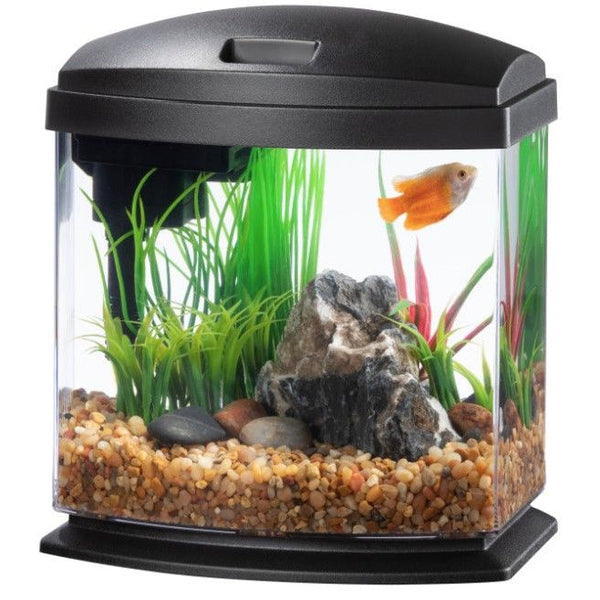 Aqueon LED MiniBow 1 SmartClean Aquarium Kit Black, 1 gallon-Fish-Aqueon-PetPhenom