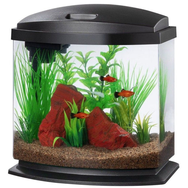 Aqueon LED MiniBow 2.5 SmartClean Aquarium Kit Black, 2.5 gallon-Fish-Aqueon-PetPhenom