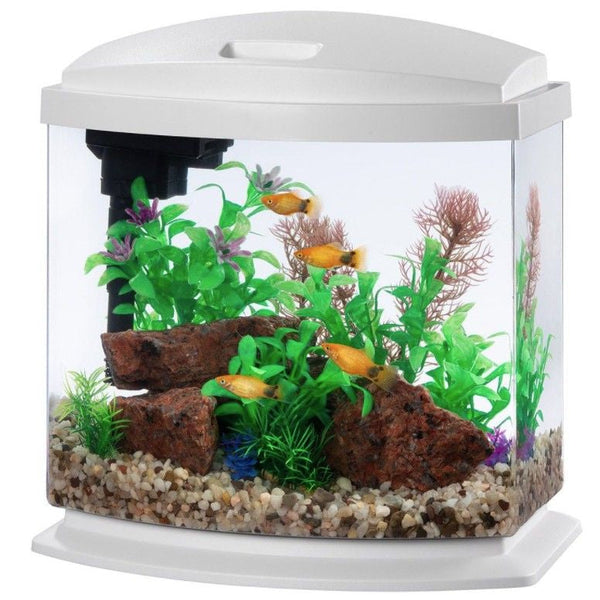 Aqueon LED MiniBow 2.5 SmartClean Aquarium Kit White, 2.5 gallon-Fish-Aqueon-PetPhenom