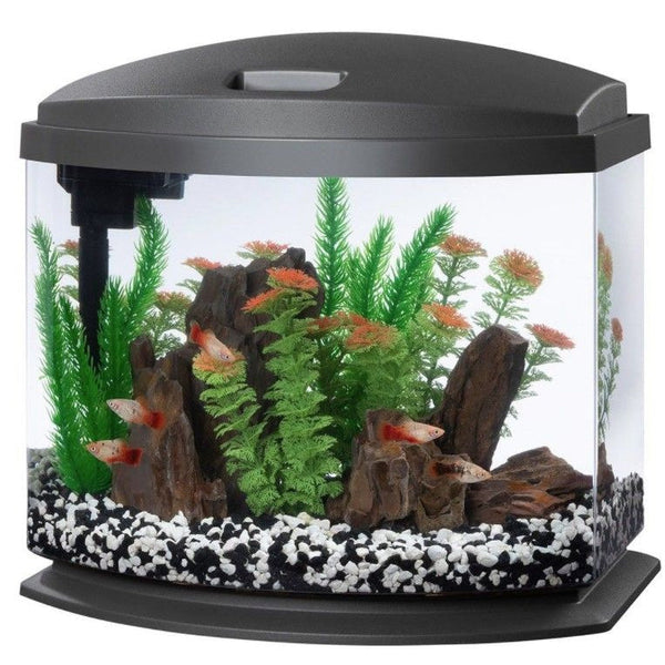 Aqueon LED MiniBow 5 SmartClean Aquarium Kit Gray, 5 gallon-Fish-Aqueon-PetPhenom