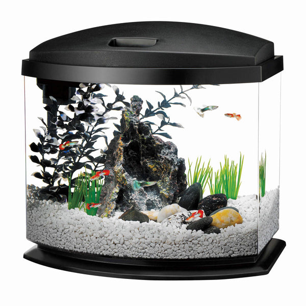 Aqueon MiniBow LED Aquarium Kit 1 Gallon Black 8.5" x 6.25" x 9.25"-Fish-Aqueon-PetPhenom