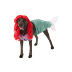 Ariel Pet Costume Large-Costumes-Rubies-XXL-PetPhenom