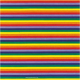 BANDANNA Freedom Rainbow 12pk