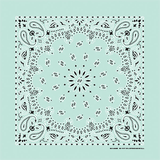 BANDANNA Paisley Mint 12pk
