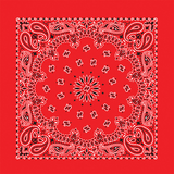 BANDANNA Paisley Red 12pk