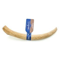 Barkworthies Dog Deer Antler Whole Large-Dog-Barkworthies-PetPhenom