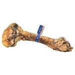 Barkworthies Wild Boar Femur (Small Bone Box) Sold As Whole Case Of: 10-Dog-Barkworthies-PetPhenom