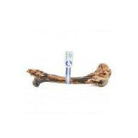 Barkworthies Wild Boar Humerus (Small Bone Box) Sold As Whole Case Of: 20-Dog-Barkworthies-PetPhenom