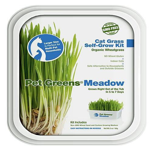 Bellrock Pet Greens Meadow Self Grow Tub-Dog-Bellrock Pet-PetPhenom