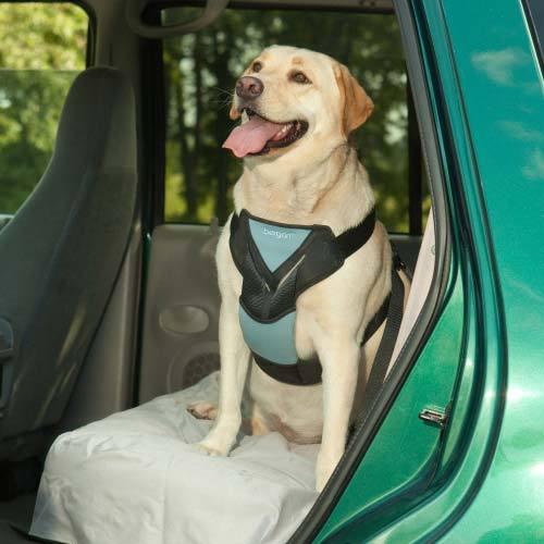 Bergan Dog Travel Harness Large Blue-Dog-Bergan-PetPhenom