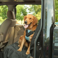 Bergan Dog Travel Harness Medium Blue-Dog-Bergan-PetPhenom