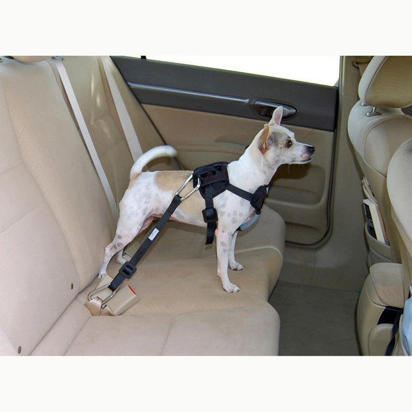 Bergan Dog Travel Harness Small Blue-Dog-Bergan-PetPhenom