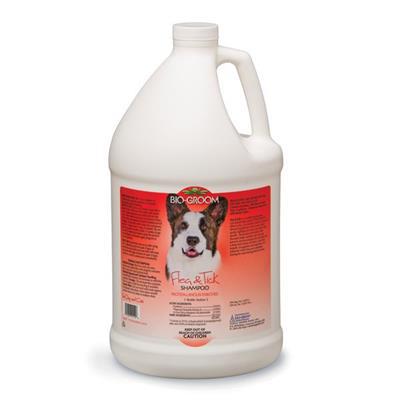 Bio Groom Fl & Tick Shampoo for Dogs - Gallon-Dog-Bio Groom-PetPhenom