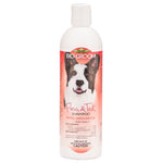 Bio Groom Flea & Tick Shampoo, 12 oz-Dog-Bio-Groom-PetPhenom