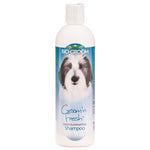 Bio Groom Groom N Fresh Shampoo, 12 oz-Dog-Bio-Groom-PetPhenom