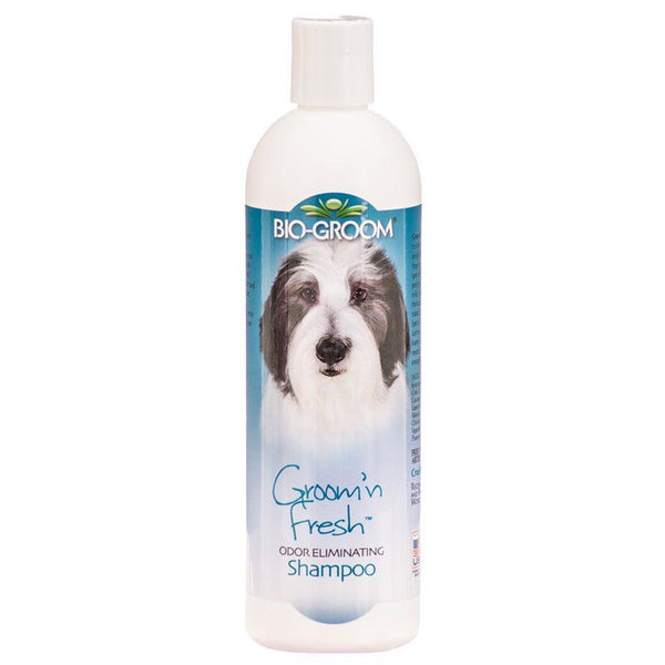 Bio Groom Groom N Fresh Shampoo, 12 oz-Dog-Bio-Groom-PetPhenom