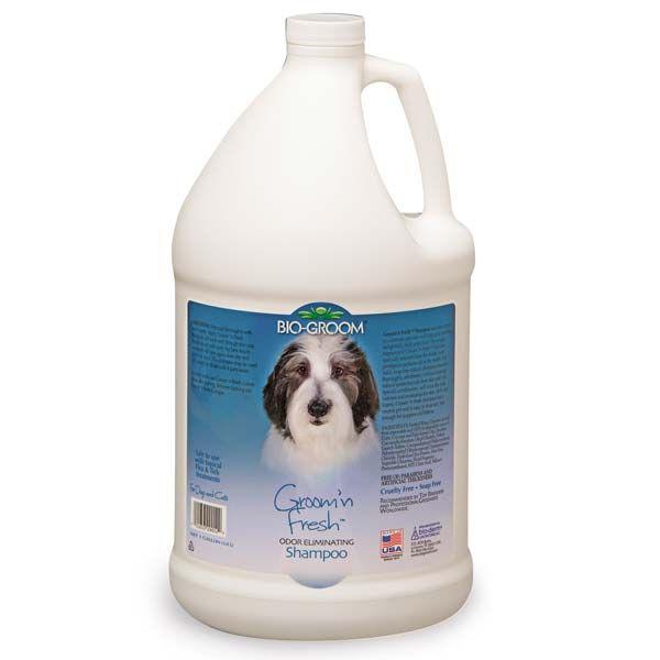 Bio Groom Groom 'n Fresh Conditioning Shampoo -1 Gal.-Dog-Bio Groom-PetPhenom