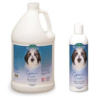 Bio Groom Groom 'n Fresh Conditioning Shampoo -12 oz.-Dog-Bio Groom-PetPhenom