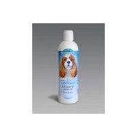 Bio-Groom Indulge Sulfate Free Argan Oil Shampoo 12oz-Dog-Bio-Groom-PetPhenom