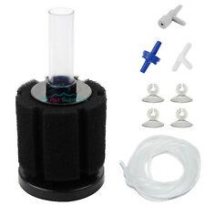 Bio Sponge Filter for Aquarium Fish Tank Up to 20 Gal with Accessories-Fish-AQUANEAT-PetPhenom