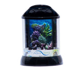 BioBubble 3D Background for AquaTerra 2 Gallon Black 9" x 9" x 12"-Fish-BioBubble-PetPhenom