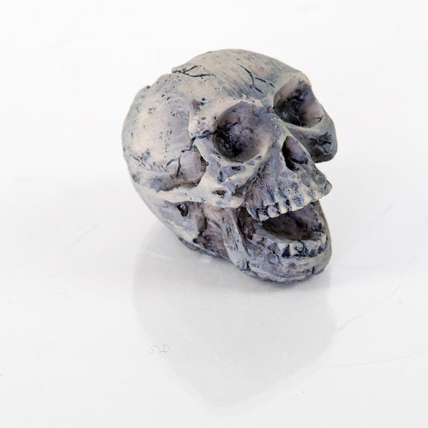 BioBubble Decorative Human Skull Small 2" x 1" x 2"-Small Pet-BioBubble-PetPhenom