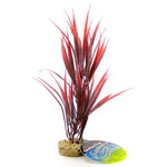 Blue Ribbon Sword Plant with Gravel Base - Red, 10" Tall-Fish-Blue Ribbon Pet Products-PetPhenom