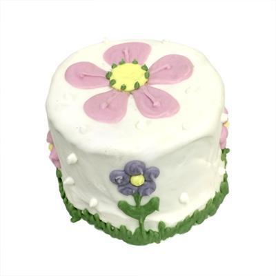Bubba Rose Biscuit Co. Garden Baby Cake - Shelf Stable-Dog-Bubba Rose Biscuit Co.-PetPhenom