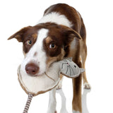 DOOG Country Tails Cat Chew Toy White 7.08" x 1.18" x 2.3"-Dog-DOOG-PetPhenom