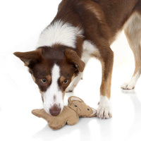 DOOG Country Tails Mouse Chew Toy Brown 7.48" x 1.18" x 3.14"-Dog-DOOG-PetPhenom