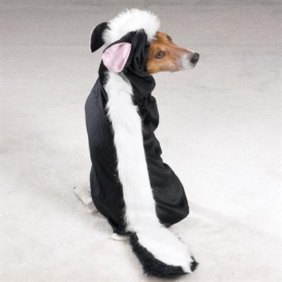 Casual Canine Lil' Stinker Costume -Small-Dog-Casual Canine-PetPhenom