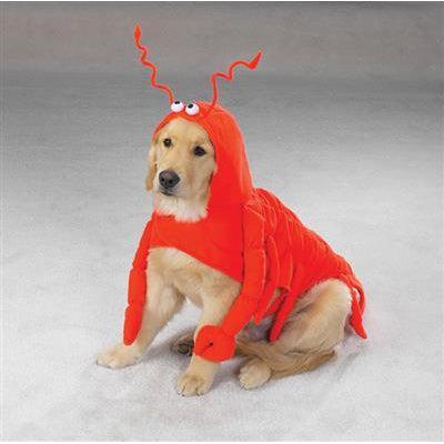 Casual Canine Lobster Paws Costume -X-Large-Dog-Casual Canine-PetPhenom