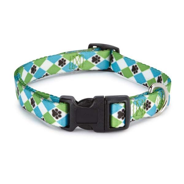 Casual Canine Pooch Patterns Dog Collars and Lds - 1" Wide X 18-26" Collar - Blue Argyle-Dog-Casual Canine-PetPhenom