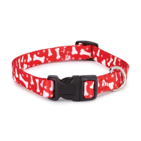 Casual Canine Pooch Patterns Dog Collars and Lds - 5/8" Wide X 10-16" Collar - Red Bone-Dog-Casual Canine-PetPhenom