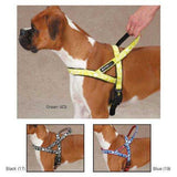 Casual Canine Xtreme Logo Dog Harness-Dog-Casual Canine-Medium/Black-PetPhenom